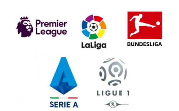 仍然可能导 仍然可能导